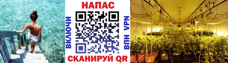 Как найти закладки Шарыпово Бошки Шишки  кракен маркетплейс  A PVP  LSD-25  Гашиш  КОКАИН  МЕФ  АМФЕТАМИН 