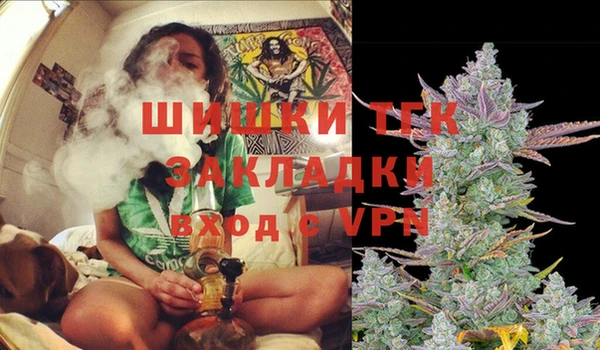 крисы Володарск