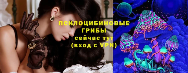крисы Володарск