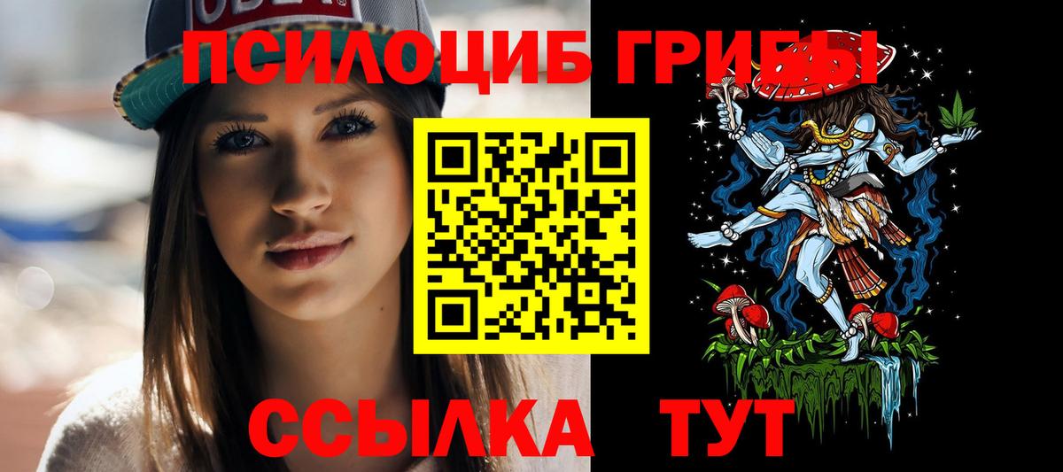 Галлюциногенные грибы Psilocybe Шарыпово