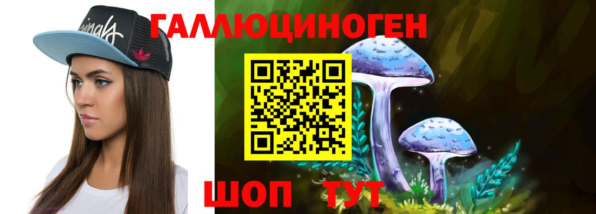 Галлюциногенные грибы Psilocybine cubensis  Вход с VPN  Шарыпово 